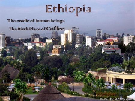 Ethiopia The cradle of human beings The Birth Place of Coffee The cradle of human beings The Birth Place of Coffee.