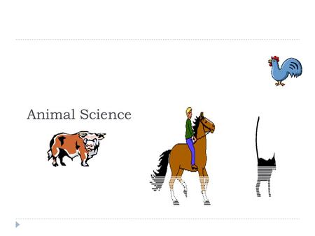 Animal Science. Careers in Animal Science  Most entry-level jobs require a high school diploma  About 20 percent of the careers in agriscience require.