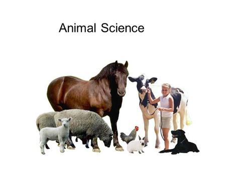 Animal Science Animal Science.