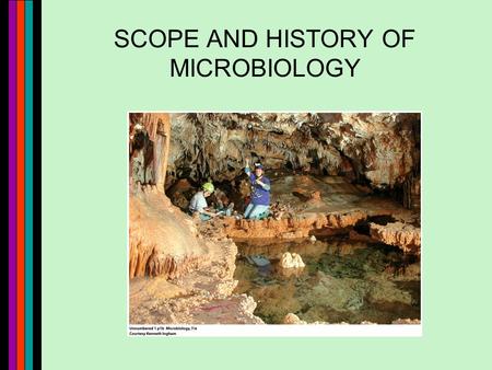 SCOPE AND HISTORY OF MICROBIOLOGY. 2 Why Study Microbiology? Ubiquity.
