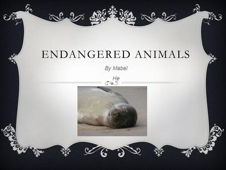 ENDANGERED ANIMALS By Mabel He. HOW CAN WE HELP ANIMALS?  When you are outside in the sun, eating food, do you throw your garbage away? If you want to.