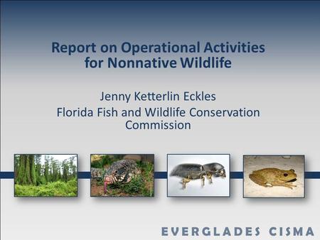 Report on Operational Activities for Nonnative Wildlife Jenny Ketterlin Eckles Florida Fish and Wildlife Conservation Commission.