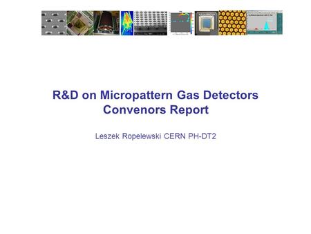 R&D on Micropattern Gas Detectors Convenors Report Leszek Ropelewski CERN PH-DT2.