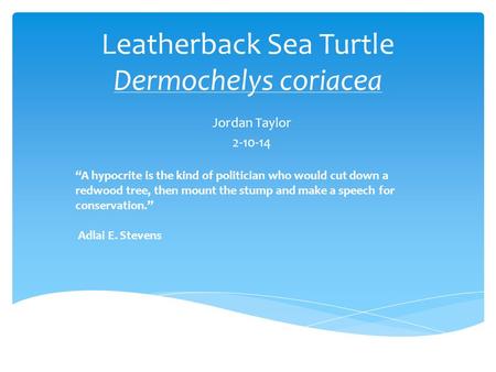 Leatherback Sea Turtle Dermochelys coriacea Jordan Taylor 2-10-14 “A hypocrite is the kind of politician who would cut down a redwood tree, then mount.