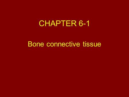 CHAPTER 6-1 Bone connective tissue. “Objectives ” 1.Functions of the skeletal system 2.Classification of bones based on shape 3.General features of bone.