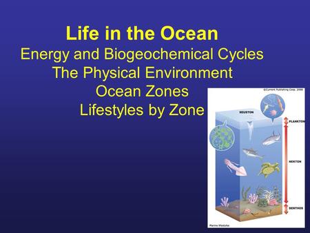Life in the Ocean Energy and Biogeochemical Cycles The Physical Environment Ocean Zones Lifestyles by Zone.
