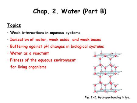 Chap. 2. Water (Part B) Topics Weak interactions in aqueous systems Ionization of water, weak acids, and weak bases Buffering against pH changes in biological.