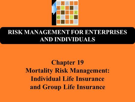 Mortality Risk Management: Individual Life Insurance