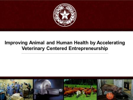 Improving Animal and Human Health by Accelerating Veterinary Centered Entrepreneurship.