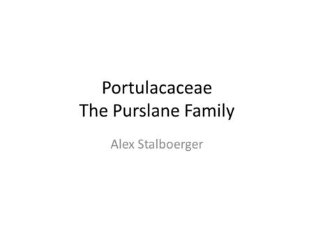 Portulacaceae The Purslane Family Alex Stalboerger.