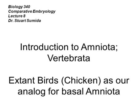 Introduction to Amniota; Vertebrata