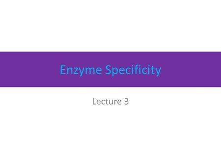 Enzyme Specificity Lecture 3. Objective To understand Specificity of enzymes.