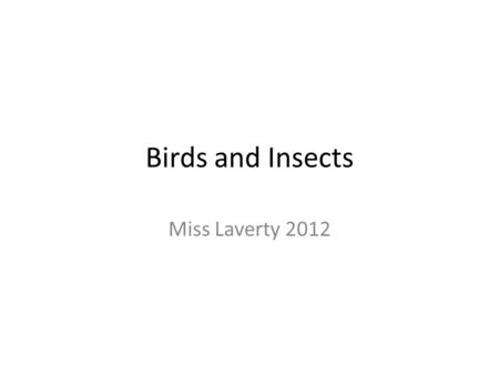 Birds and Insects Miss Laverty 2012. March 26 th, 2012 Instructions 1.Please hand out the workbooks 2.Grab today’s handout Today’s agenda Brain Storm.