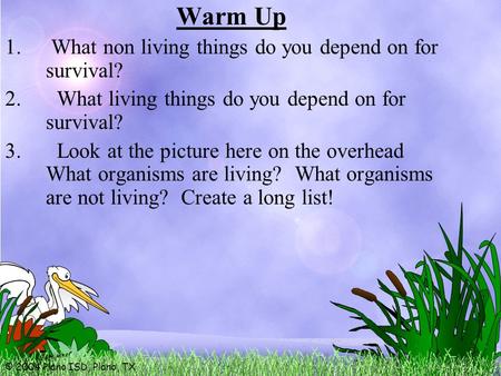 © 2004 Plano ISD, Plano, TX Warm Up 1. What non living things do you depend on for survival? 2. What living things do you depend on for survival? 3. Look.