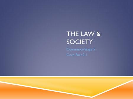 THE LAW & SOCIETY Commerce Stage 5 Core Part 2.1.