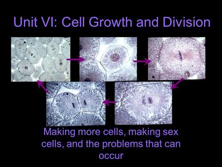 Unit VI: Cell Growth and Division