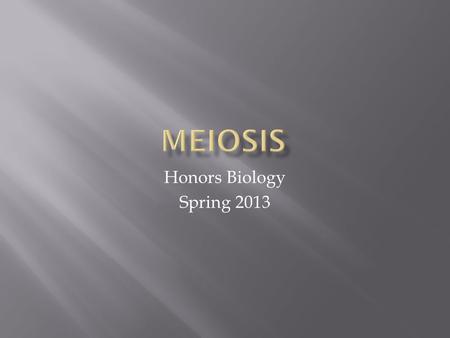 Meiosis Honors Biology Spring 2013.