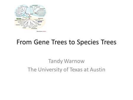 From Gene Trees to Species Trees Tandy Warnow The University of Texas at Austin.