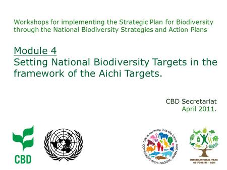 Workshops for implementing the Strategic Plan for Biodiversity through the National Biodiversity Strategies and Action Plans CBD Secretariat April 2011.