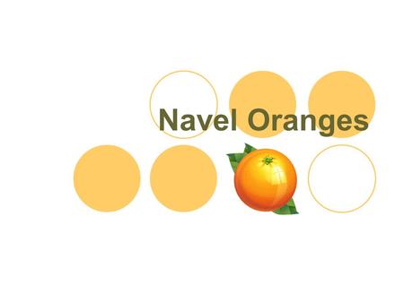 Navel Oranges. Navel oranges are easy to spot in the produce aisle, they are the ones with the button formation opposite the stem end.