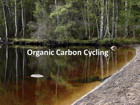 Organic Carbon Cycling. DOC and POC Organic C Sources.