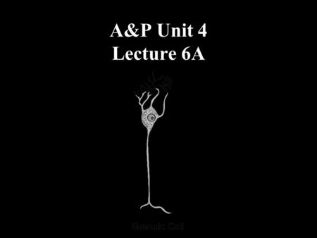 A&P Unit 4 Lecture 6A.