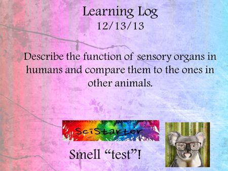 Learning Log 12/13/13 Describe the function of sensory organs in humans and compare them to the ones in other animals. Smell “test”!