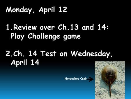 Monday, April 12 1.Review over Ch.13 and 14: Play Challenge game 2.Ch. 14 Test on Wednesday, April 14 Horseshoe Crab.