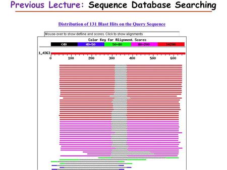 Previous Lecture: Sequence Database Searching. Introduction to Biostatistics and Bioinformatics Distributions This Lecture By Judy Zhong Assistant Professor.