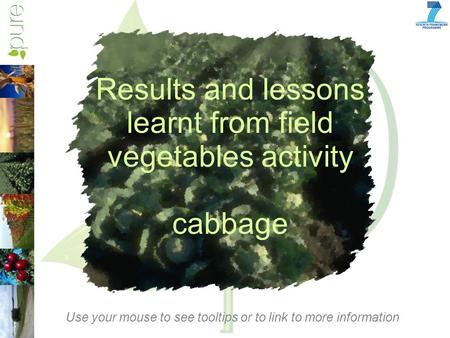 Results and lessons learnt from field vegetables activity