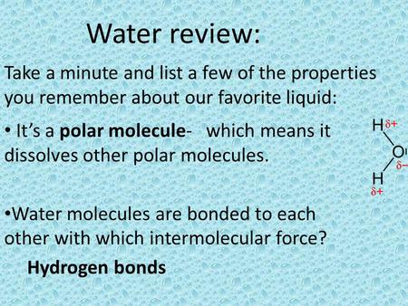 Water review: Take a minute and list a few of the properties you remember about our favorite liquid: It’s a polar molecule- which means it dissolves other.
