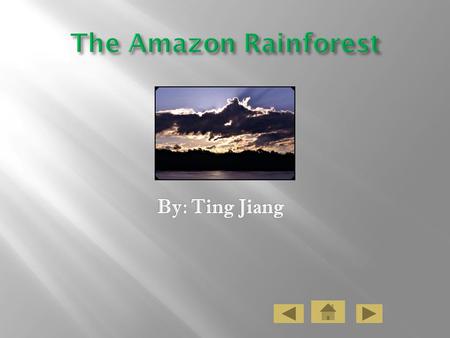 The Amazon rain forest is full of diverse plant life. This rain forest has many plants and trees. Around a third of the world’s species of plants make.