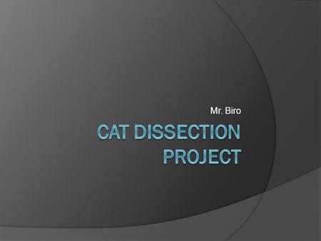 Mr. Biro. Table of Contents  Pop Quiz Pop Quiz  Pop Quiz Answers Pop Quiz Answers  Assignment During Cat Dissection Assignment During Cat Dissection.