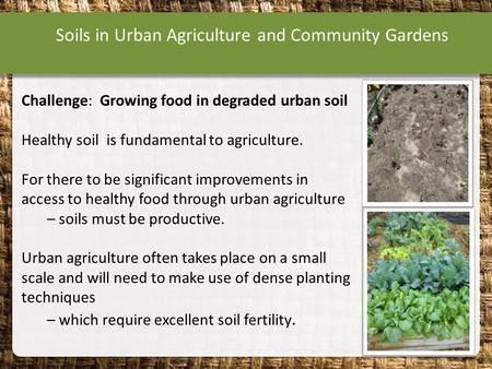 Soils in Urban Agriculture and Community Gardens Challenge: Growing food in degraded urban soil Healthy soil is fundamental to agriculture. For there to.