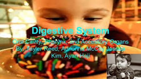 Digestive System Oral Cavity, Pharynx, and Accessory Organs By: Tayler Reed, Adrionna McCoy Jessica Kim, Ayan Haji.