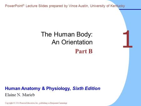Copyright © 2004 Pearson Education, Inc., publishing as Benjamin Cummings Human Anatomy & Physiology, Sixth Edition Elaine N. Marieb PowerPoint ® Lecture.