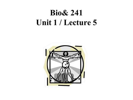 Bio& 241 Unit 1 / Lecture 5.
