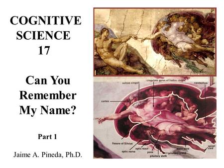 COGNITIVE SCIENCE 17 Can You Remember My Name? Part 1 Jaime A. Pineda, Ph.D.