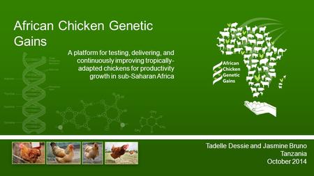 African Chicken Genetic Gains Tadelle Dessie and Jasmine Bruno Tanzania October 2014 A platform for testing, delivering, and continuously improving tropically-