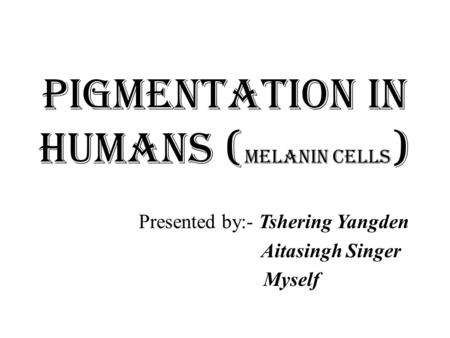 Pigmentation in humans ( melanin cells ) Presented by:- Tshering Yangden Aitasingh Singer Myself.