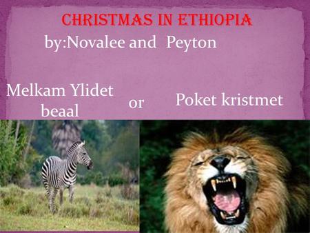CHRISTMAS IN ethiopia by:Novalee and Peyton Melkam Ylidet beaal or Poket kristmet.