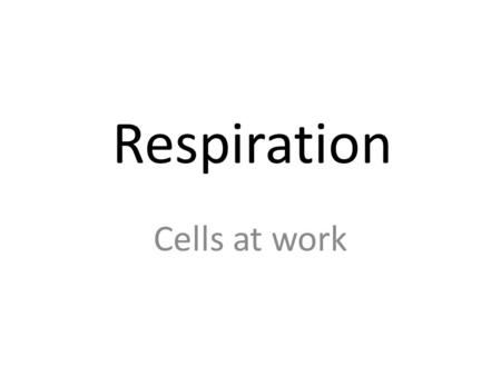 Respiration Cells at work.