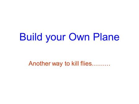 Build your Own Plane Another way to kill flies………