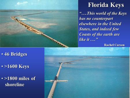 46 Bridges 46 Bridges >1600 Keys >1600 Keys >1800 miles of >1800 miles of shoreline shoreline Florida Keys “….This world of the Keys has no counterpart.