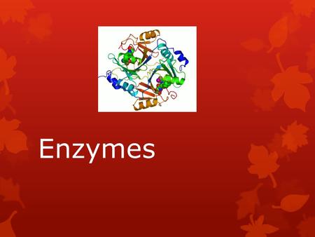 Enzymes. What are enzymes?  Chemically, enzymes are proteins.  They act as catalysts in chemical reactions.  The substances on which enzymes act are.