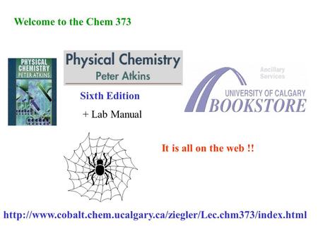 Welcome to the Chem 373 Sixth Edition + Lab Manual  It is all on the web !!