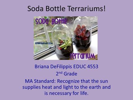 Soda Bottle Terrariums! Briana DeFilippis EDUC 4553 2 nd Grade MA Standard: Recognize that the sun supplies heat and light to the earth and is necessary.