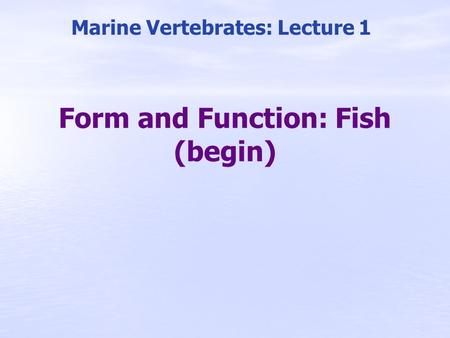 Form and Function: Fish (begin) Marine Vertebrates: Lecture 1.