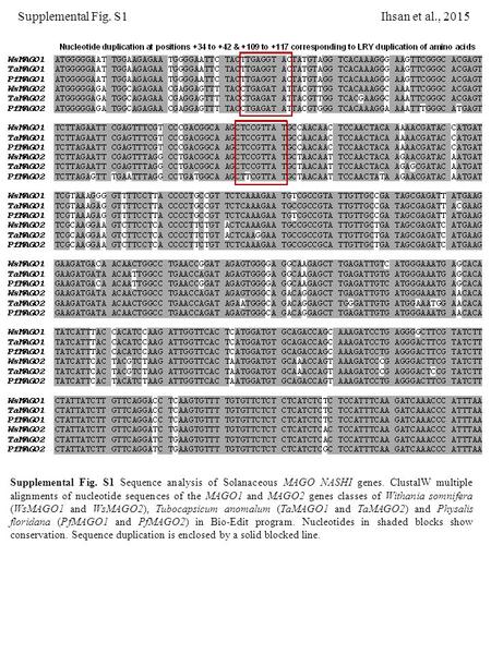 Supplemental Fig. S1 Ihsan et al., 2015 Supplemental Fig. S1 Sequence analysis of Solanaceous MAGO NASHI genes. ClustalW multiple alignments of nucleotide.