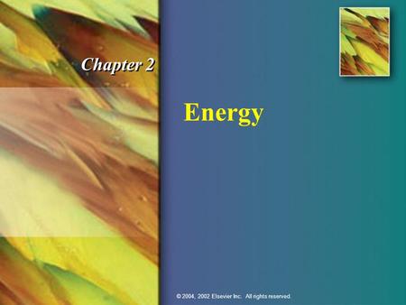 Energy Chapter 2 © 2004, 2002 Elsevier Inc. All rights reserved.